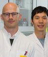 The four molecular biologists behind the spin-out company omiics (from left): Yan Yan, Morten Venø, Junyi Su and Susanne Venø (photo: Kenneth Frydensbjerg)