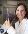 Brigitte Stadler receives ECR Consolidator grant for creating artificial liver tissue. (Illustration: Colourbox)