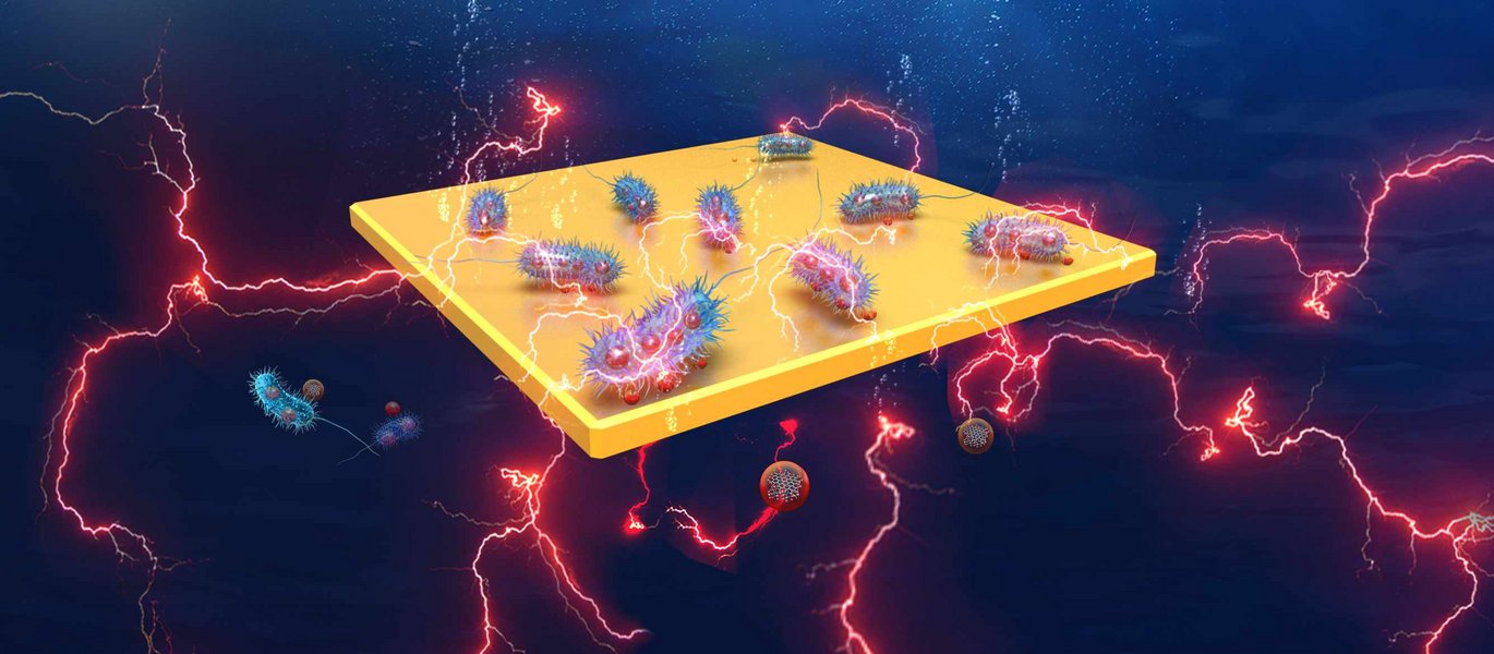 AU researchers collaborate with international research team on improving the efficiency of bioelectrical systems. (Graphics: Copyright © 2020, Nature Research).