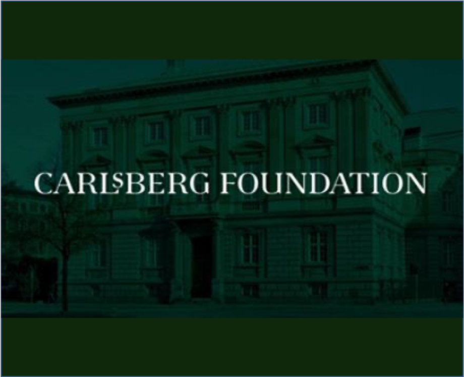 iNANO researchers receive DKK 6.5 million from the Carlsberg Foundation for research infrastructure.